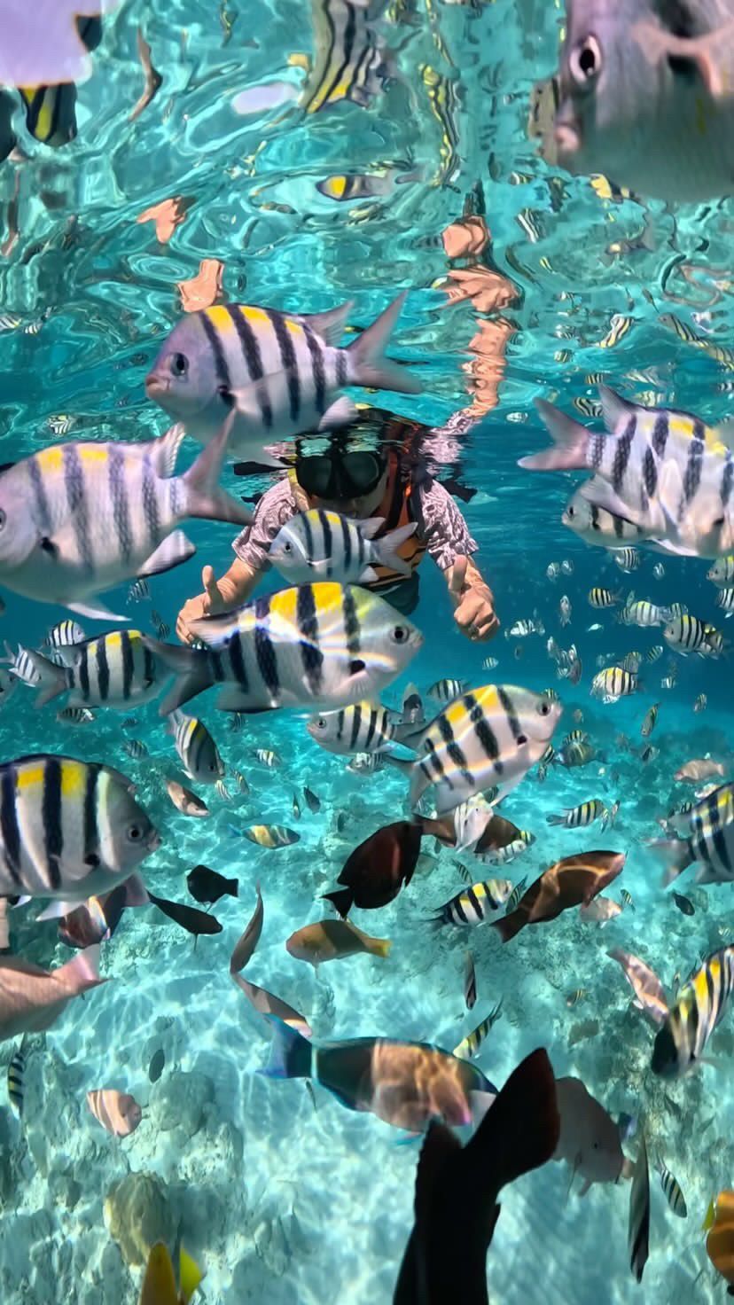 Paket Wisata Tur Eksklusif Gili Nanggu, Sudak, dan Kedis yang Menampilkan GoPro