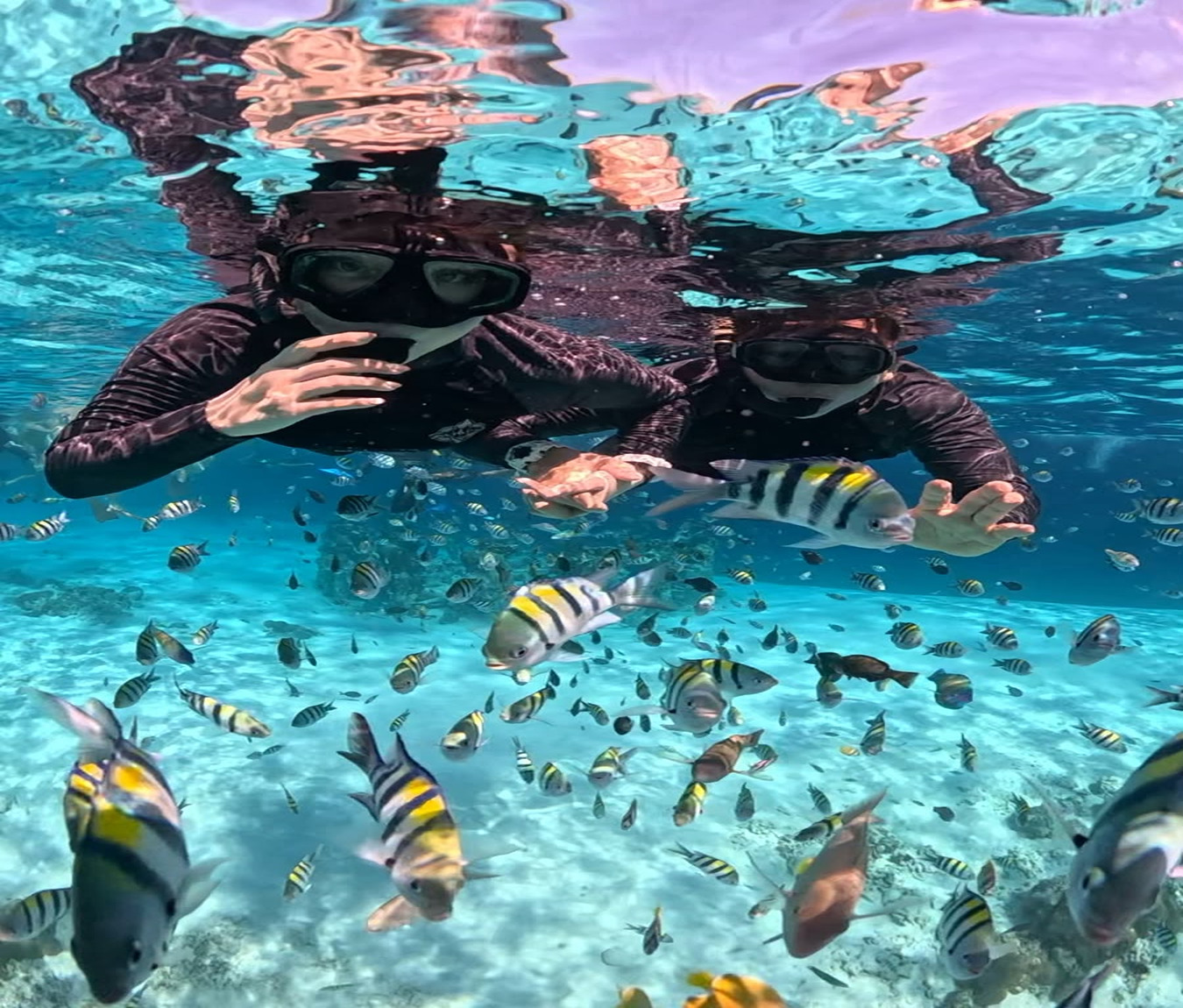 Senokling 5 Gili Asahan,Gede,Layar,Rengit,Goleng